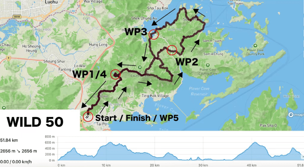 2026香港狂野 HK WILD 图片 2