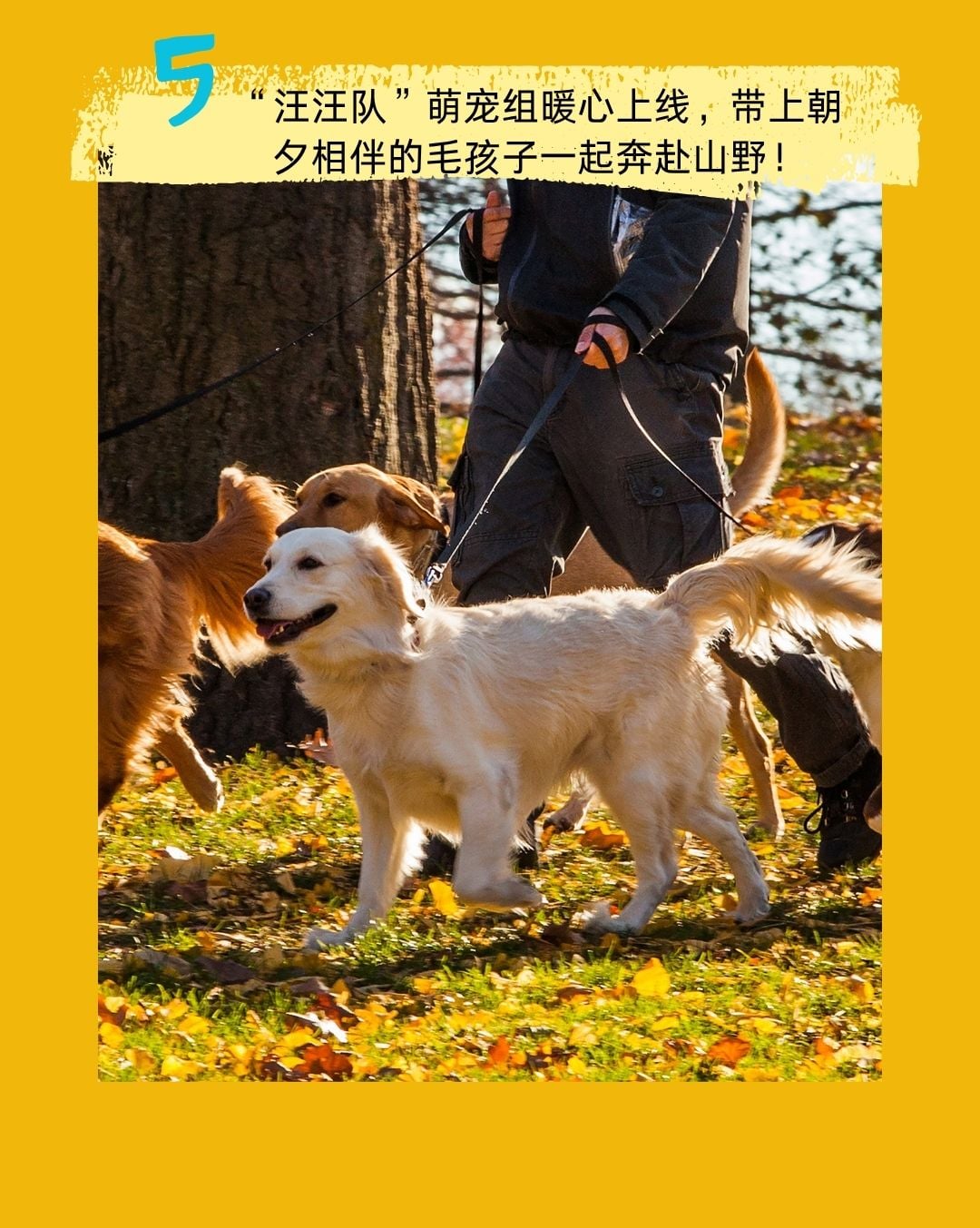 徽黄之路第3届秋季徒步大会 图片 10